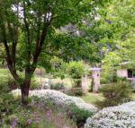 Naturescape - Tourism Canberra