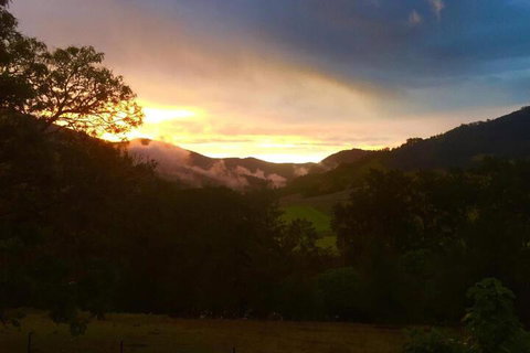 Mount Seaview Resort - Tourism Canberra 7