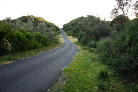 Venus Escapes Guesthouse - Tourism Canberra 2