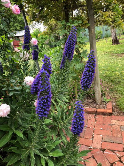 Barossa Barn Bed & Breakfast - Tourism Canberra 2