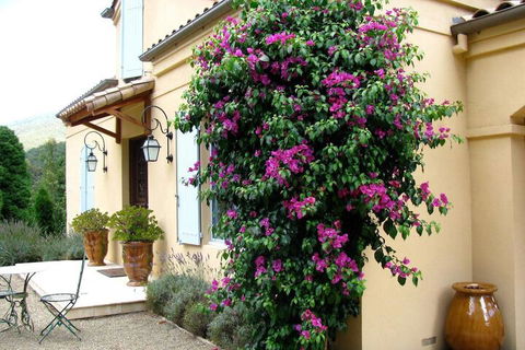 Casa Valeri - Tourism Canberra 3