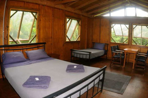 Daintree Rainforest Bungalows - Tourism Canberra 4