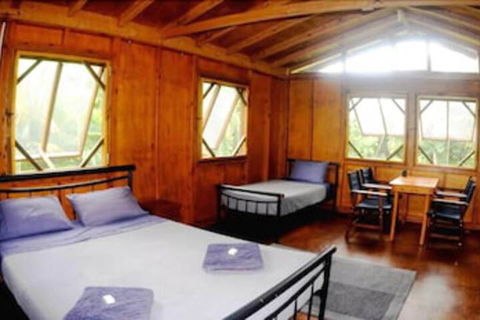 Daintree Rainforest Bungalows - Tourism Canberra 5