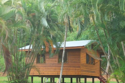 Daintree Rainforest Bungalows - Tourism Canberra 0