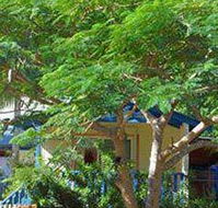 Amber Gardens Guesthouse - Tourism Canberra