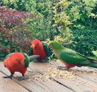 Crimson Villa - Tourism Canberra