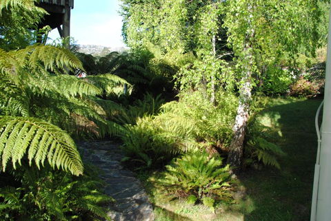 The Wombat Cottage - Tourism Canberra 4