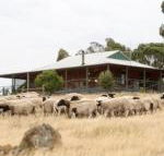 Gilgraves Vineyard Farmstay - Tourism Canberra