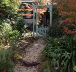 Lemon Tree Cottage - Tourism Canberra