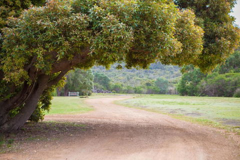 Riverside Retreat Chalets Walpole - Tourism Canberra 4