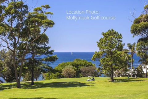 Mollymooks Tee To Sea 19 Buchan Street - Tourism Canberra 2