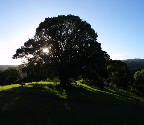 Valleydale Cottage - Tourism Canberra 1