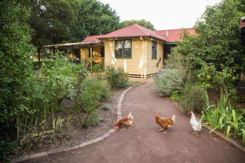 Malakai Farm Stay - Tourism Canberra 2