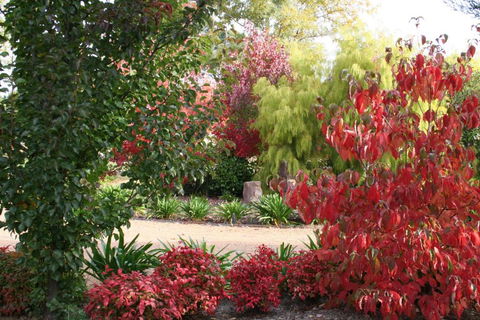 Delderfield Cottages - Tourism Canberra 4