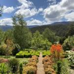 Delderfield Cottages - Tourism Canberra 0