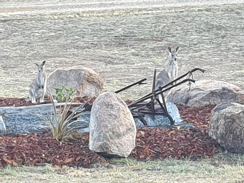 R & R On The Ravine - Tourism Canberra 5