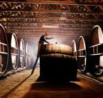 Pieter van Gent Winery  Vineyard - Tourism Canberra