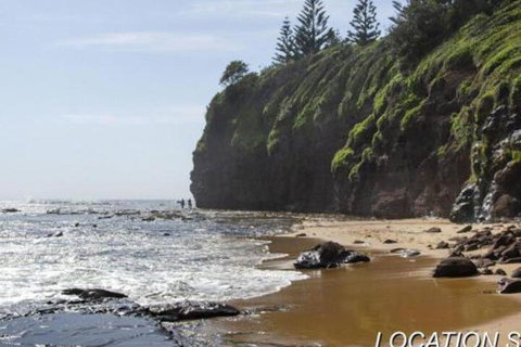 Ocean Mist Cottage Across From Pet Friendly Beach - Tourism Canberra 2