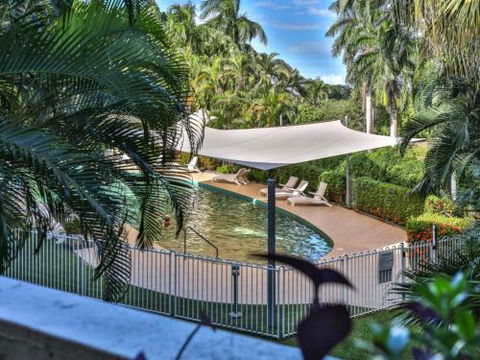RED COWRIE 321atPALM COVE - Tourism Canberra 4