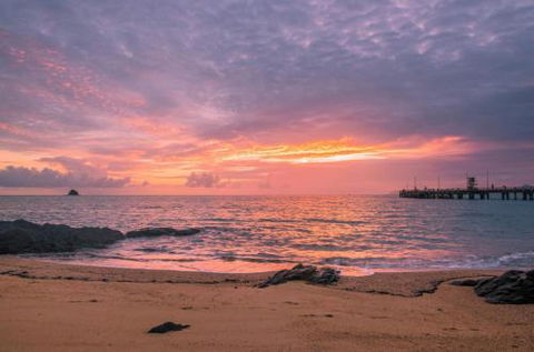 RED COWRIE 321atPALM COVE - Tourism Canberra 5