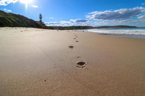 Surfers Paradise At Catherine Hill Bay - Tourism Canberra 2