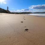 Surfers Paradise At Catherine Hill Bay - Tourism Canberra 0