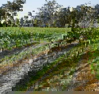 Renovated Cottage Aberdare Hunter Valley - Tourism Canberra