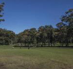 Championship Golf Course on your Back Door - Tourism Canberra