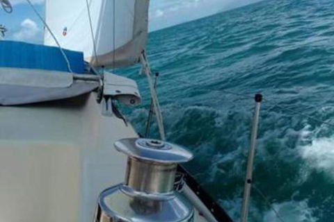 Casual Fare Sailing Charters Townsville Ocean Living Cruise - Tourism Canberra 2