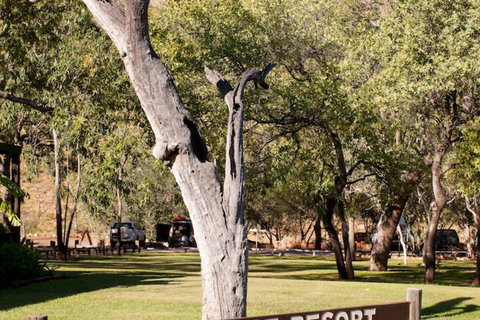 El Questro Emma Gorge Resort - Tourism Canberra 4