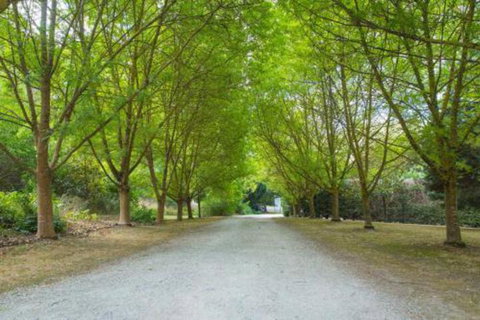 In The Valley - Tourism Canberra 6