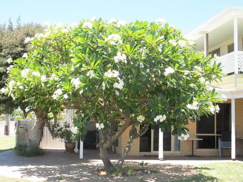 Kalbarri Riverfront Unit - Tourism Canberra 3