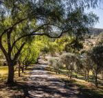 Capers Guesthouse Barn  Cottage - Tourism Canberra