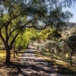 Capers Guesthouse Barn & Cottage - Tourism Canberra 0