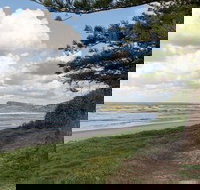 Coco der Mer - Tourism Canberra