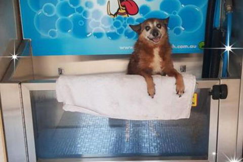 Apex RiverBeach Holiday Park - Tourism Canberra 4