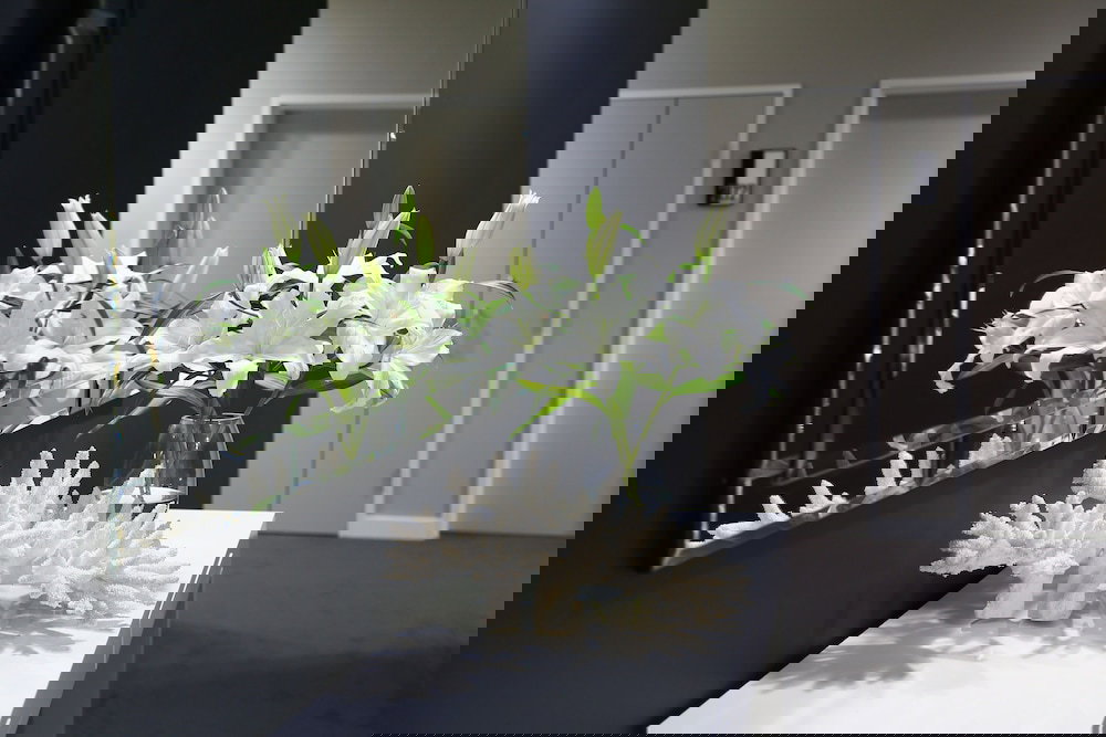 Brookwater QLD Tourism Canberra