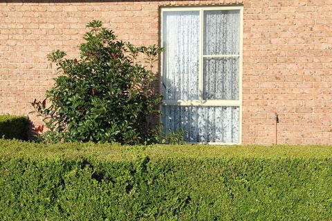 Motel 359 - Tourism Canberra 1