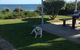 Safety Bay Guest House - thumb 6