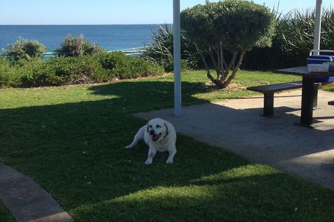Safety Bay Guest House - Tourism Canberra 6