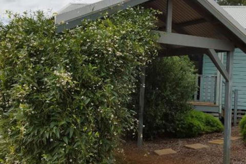 Rainbow Trail Chalets - Tourism Canberra 7