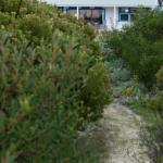 Polperro A Quintessential Seaside Experience - Tourism Canberra 0
