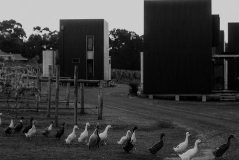 Barn Hives Yallingup - Tourism Canberra 1
