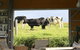 THE SHED Gerroa 4pm Checkout On Sundays & Public Holidays - thumb 6