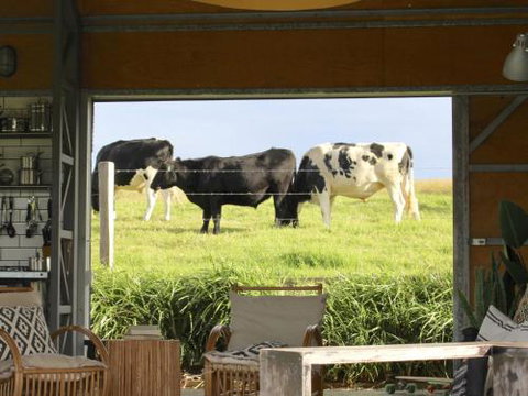 THE SHED Gerroa 4pm Checkout On Sundays & Public Holidays - Tourism Canberra 6