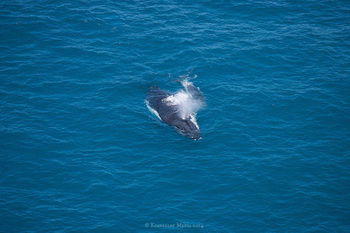 Apartments Located At Blue Seas Resort - Tourism Canberra 3