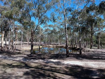 Big Tiny The Whispers - Tourism Canberra 3