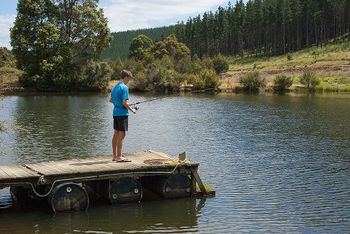 Nannup Valley Chalets - Tourism Canberra 1
