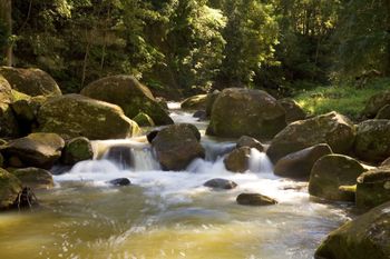 The Cedars Cottages - Tourism Canberra 2