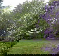 Petersons Armidale Winery  Guesthouse - Tourism Canberra